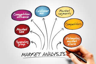 Plan de negocios de instalaciones de vida asistida incluye análisis de mercado infográfico