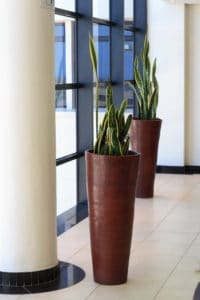 MEP commercial building contractors include office plants design in business remodeling