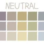 Colores neutros MEP para consejos de renovación de oficinas